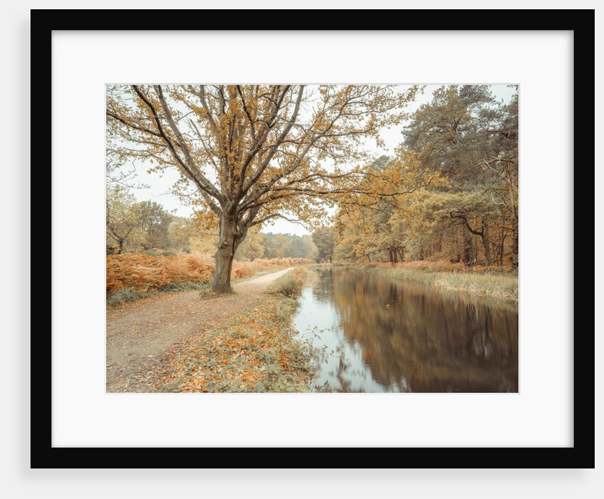 Canal through forest by Assaf Frank